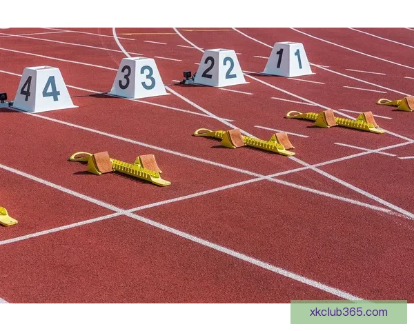 世界杯胜负预测指南 精准分析助您轻松竞猜赛事结果